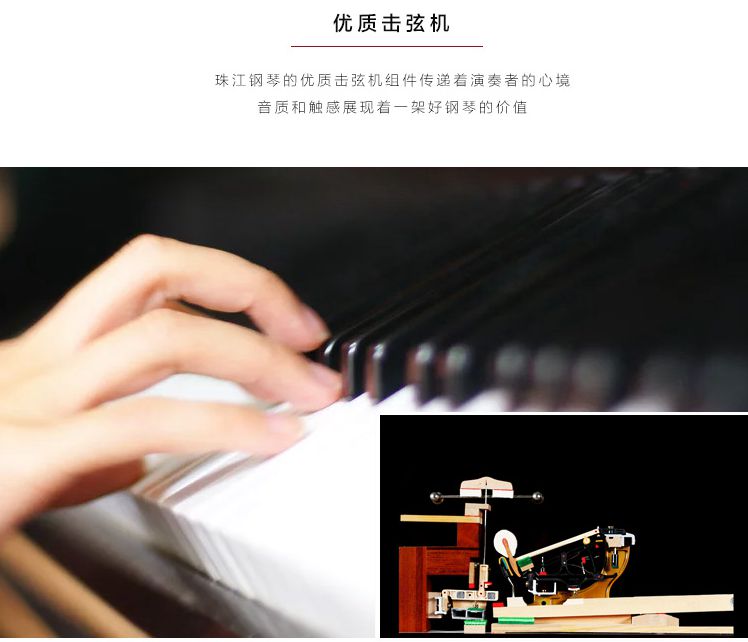 击弦机-京珠钢琴BUP123-开心租琴