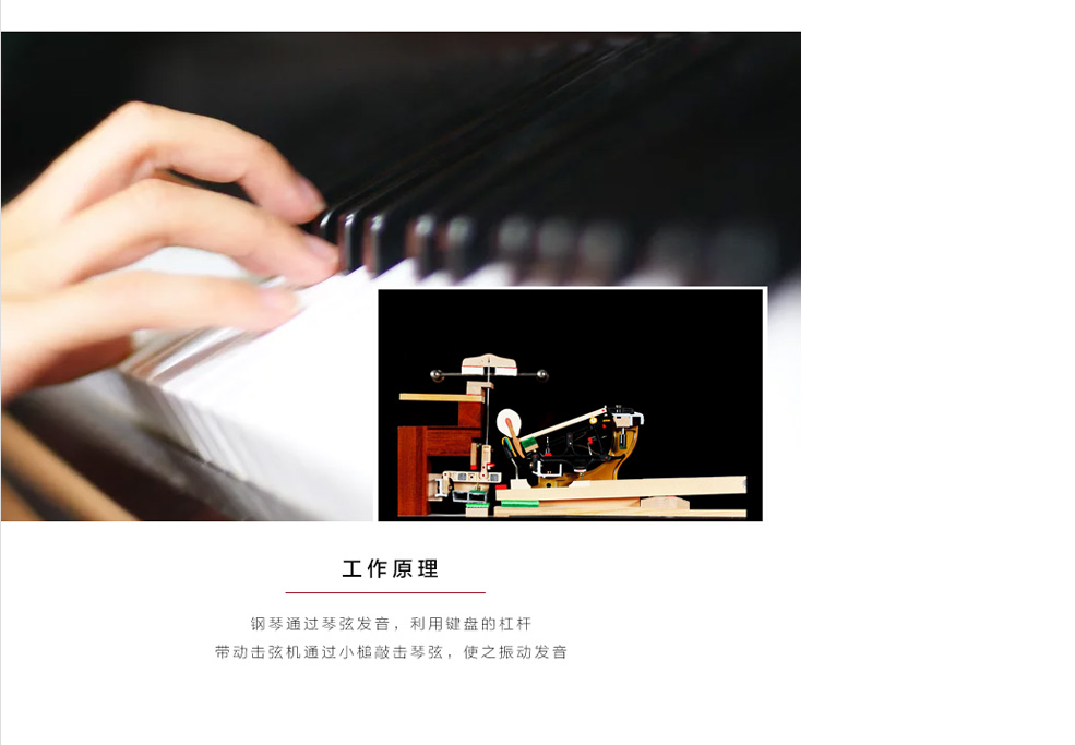 钢琴工作原理-广州英昌钢琴YD123出租